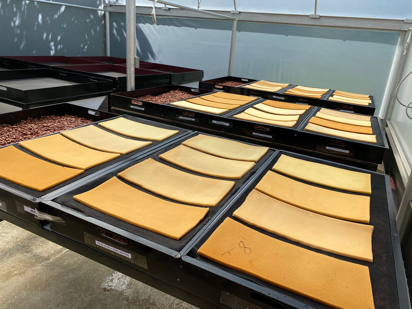 Experimental drying substrates testing different surface treatments for moisture loss and fungal load
