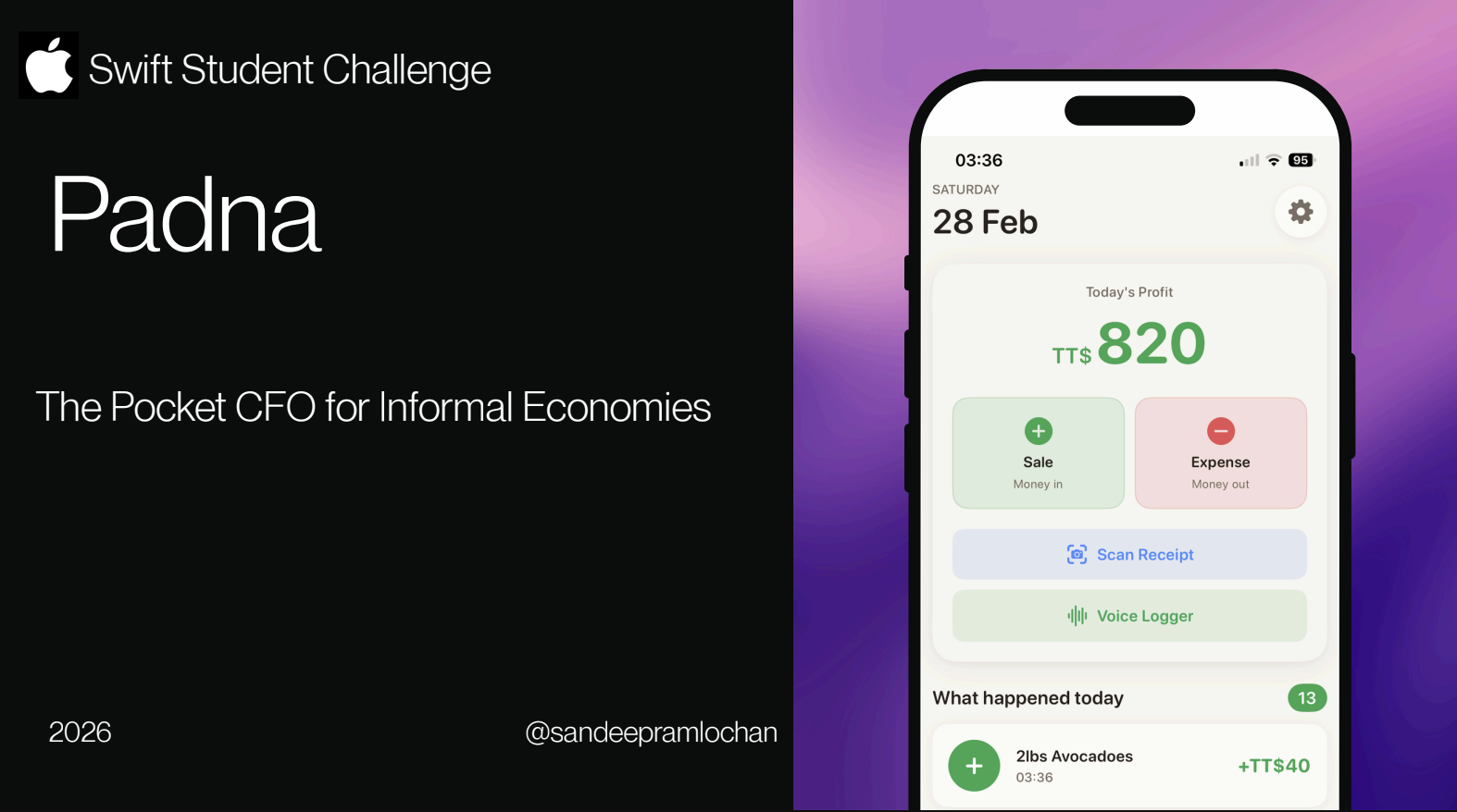 Padna: The Pocket CFO for Informal Economies