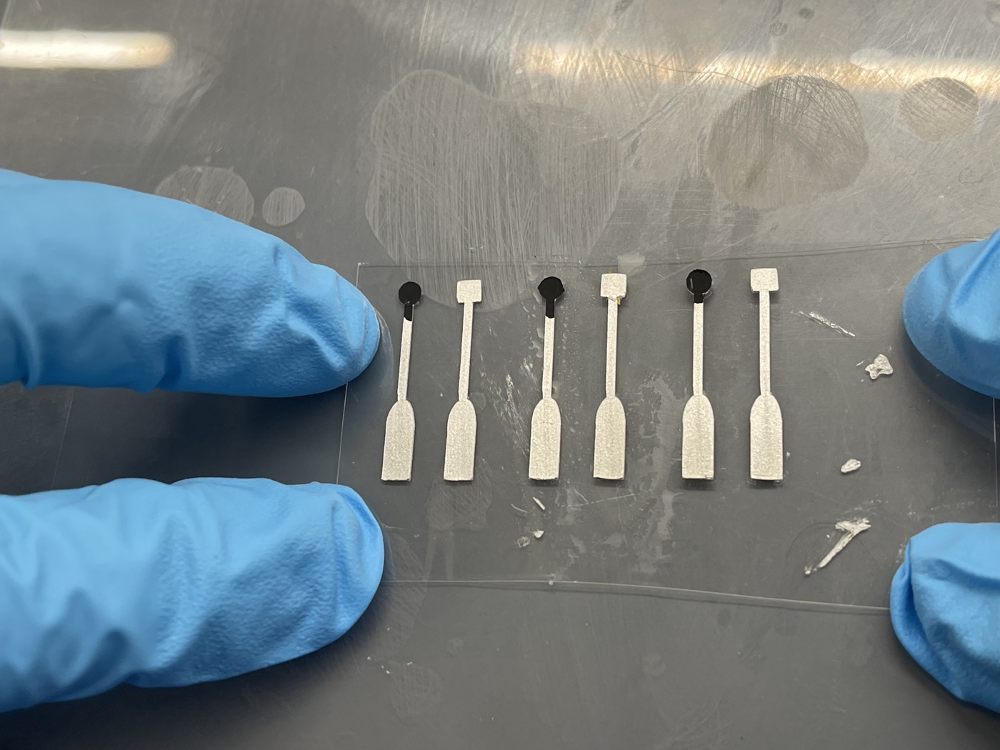 Five carbon electrode strips after printing